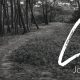 Journey with Jesus Lent Devotional Week 2