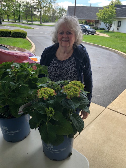 Becky Burkow Easter Flower 2020 Becky Burkow Easter Flower 2020